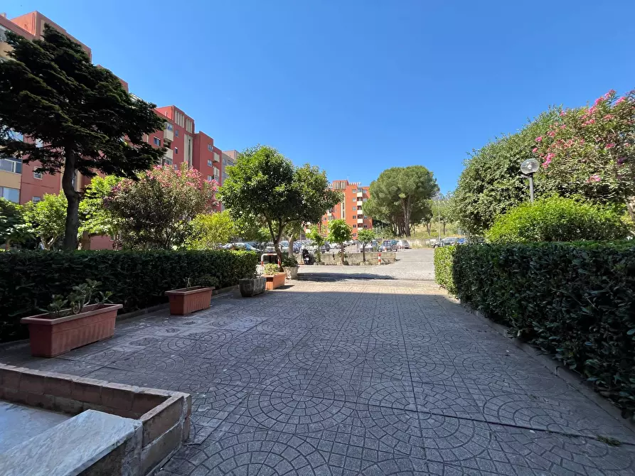 Immagine 21 di Appartamento in vendita  in Via Bezzecca 1/A a Catanzaro