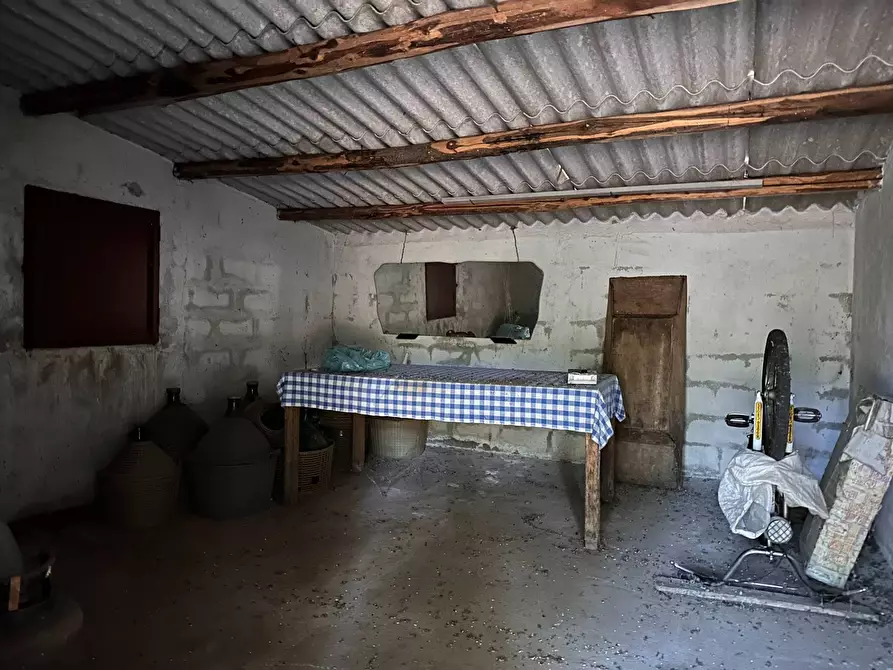 Immagine 3 di Terreno agricolo in vendita  in via San Fantino a Borgia