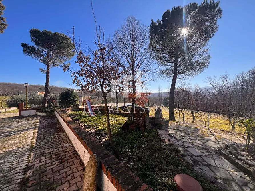 Immagine 8 di Casa indipendente in vendita  in C.da Cannete a Vinchiaturo