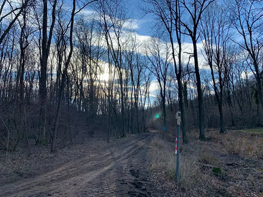 Immagine 8 di Terreno agricolo in vendita  in via A. Castelli a Gemonio