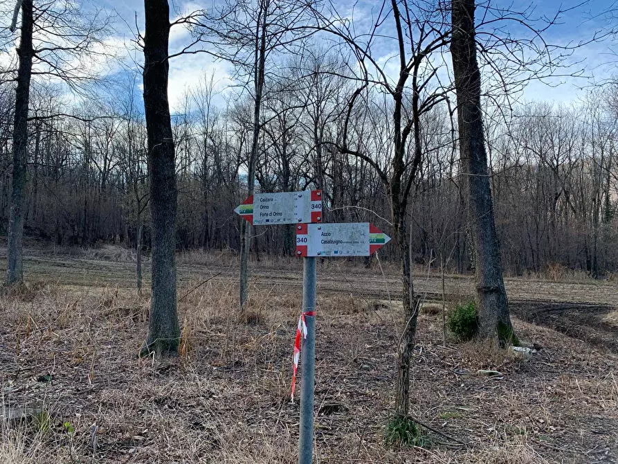 Immagine 9 di Terreno agricolo in vendita  in via A. Castelli a Gemonio