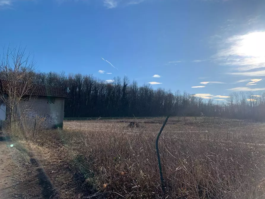 Immagine 2 di Terreno agricolo in vendita  in via A. Castelli 68 a Gemonio