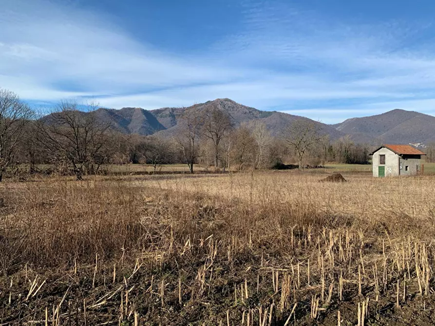 Immagine 5 di Terreno agricolo in vendita  in via A. Castelli 68 a Gemonio