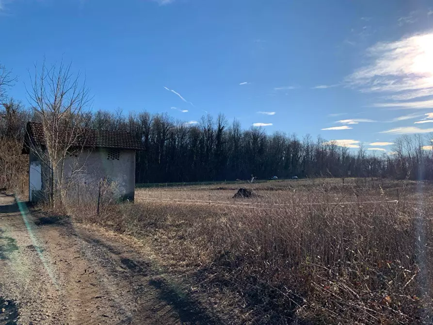 Immagine 6 di Terreno agricolo in vendita  in via A. Castelli 68 a Gemonio