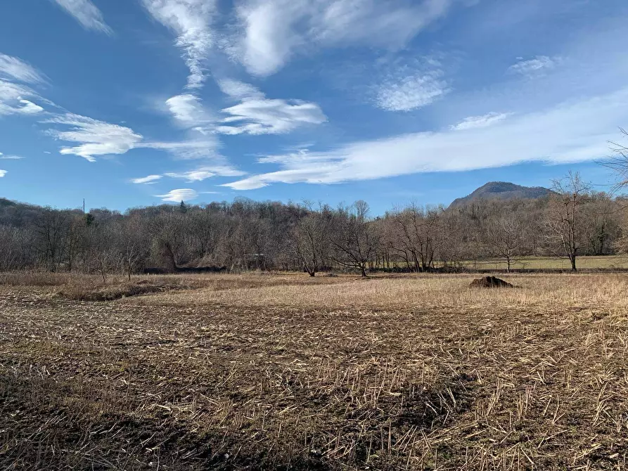 Immagine 9 di Terreno agricolo in vendita  in via A. Castelli 68 a Gemonio