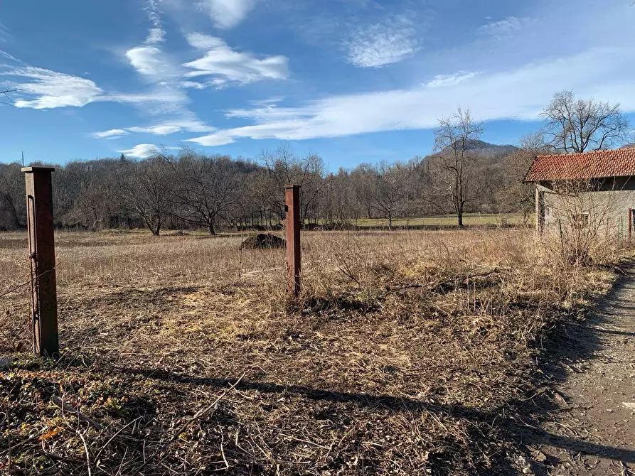 Immagine 12 di Terreno agricolo in vendita  in via A. Castelli 68 a Gemonio