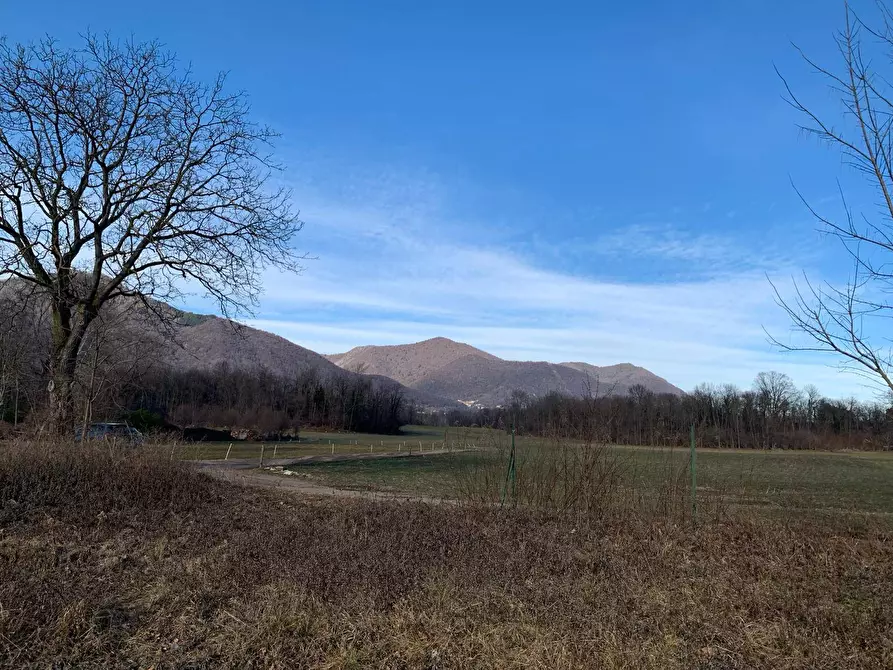 Immagine 16 di Terreno agricolo in vendita  in via A. Castelli 68 a Gemonio