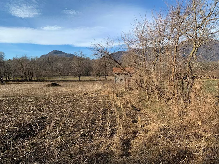 Immagine 17 di Terreno agricolo in vendita  in via A. Castelli 68 a Gemonio