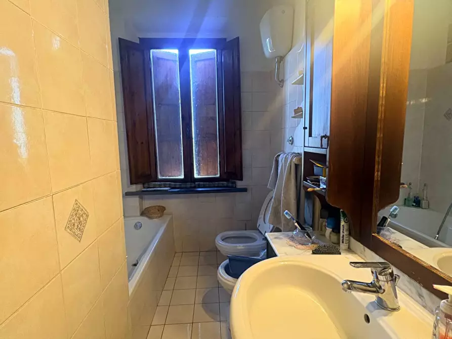 Immagine 16 di Appartamento in vendita  a Terricciola