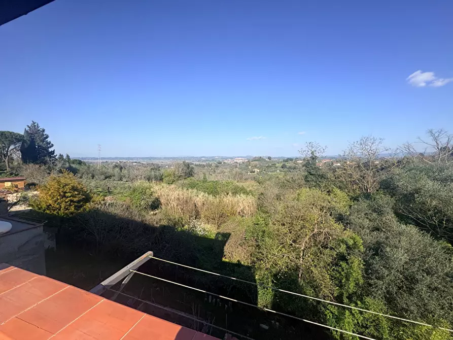 Immagine 23 di Appartamento in vendita  a Terricciola