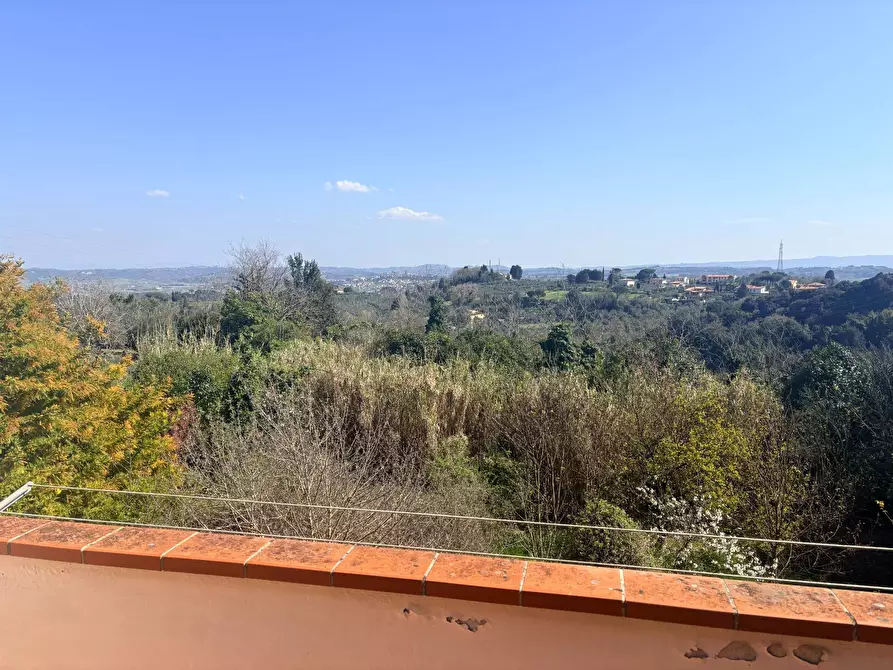 Immagine 10 di Appartamento in vendita  a Terricciola