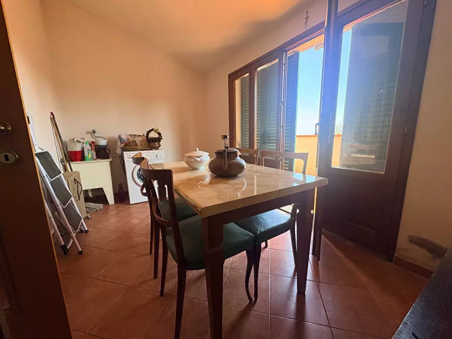 Immagine 6 di Appartamento in vendita  a Terricciola