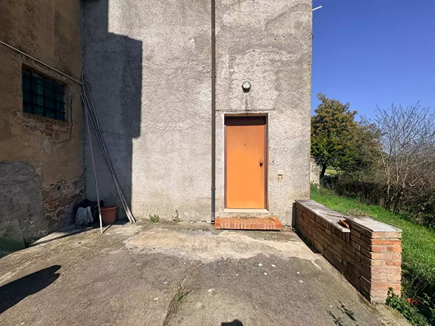 Immagine 14 di Appartamento in vendita  a Terricciola