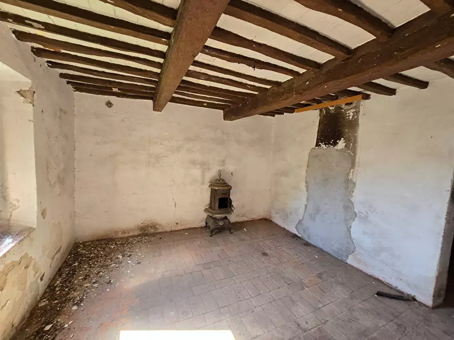 Immagine 9 di Rustico / casale in vendita  in Via santa lucia a Calci