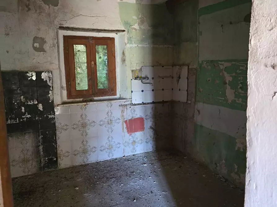 Immagine 11 di Rustico / casale in vendita  in Via santa lucia a Calci