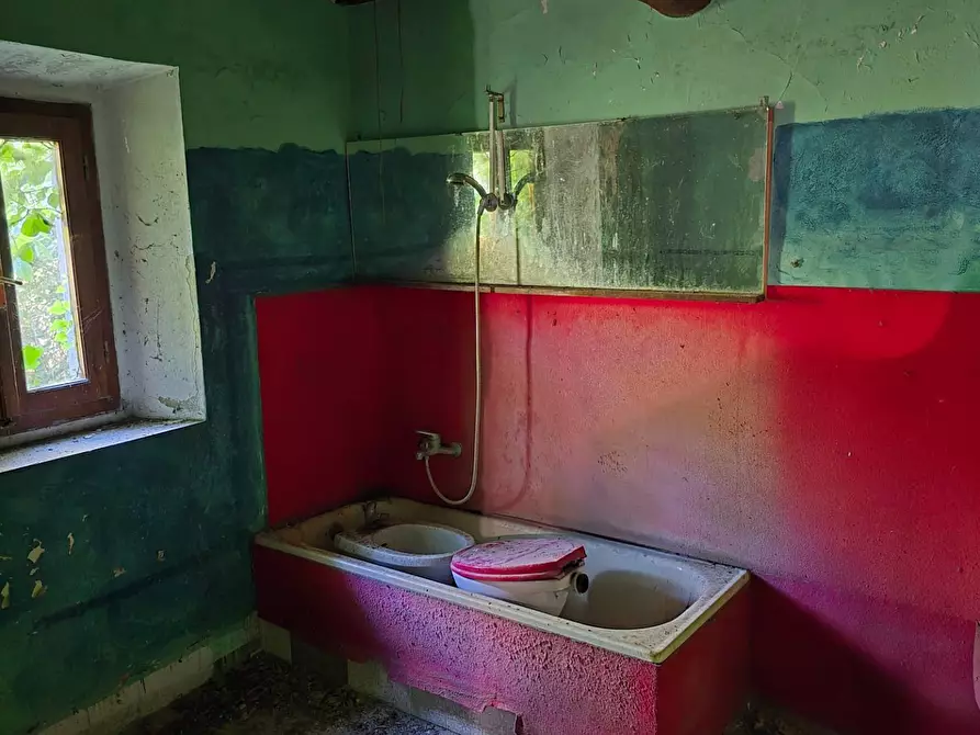 Immagine 12 di Rustico / casale in vendita  in Via santa lucia a Calci