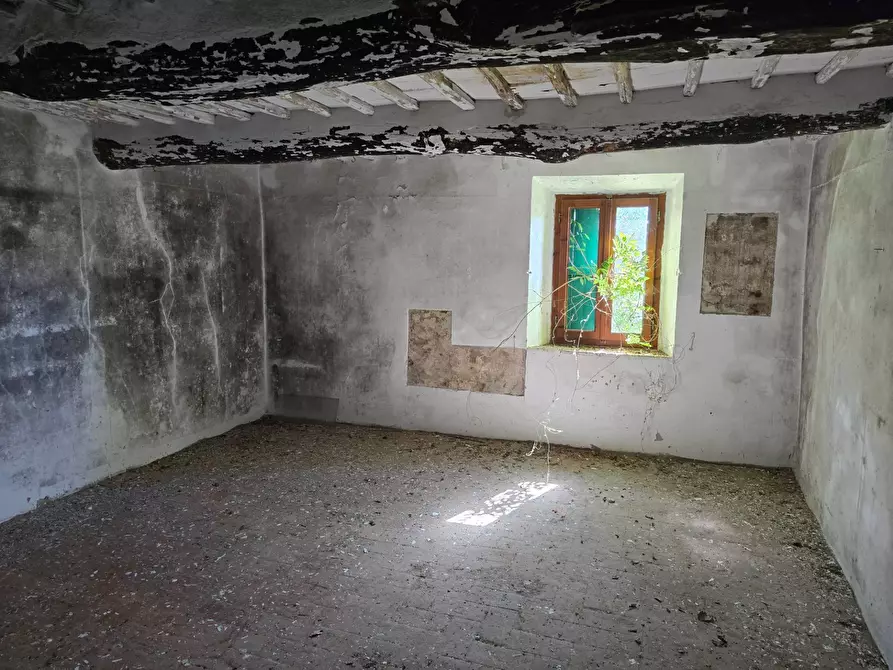 Immagine 13 di Rustico / casale in vendita  in Via santa lucia a Calci