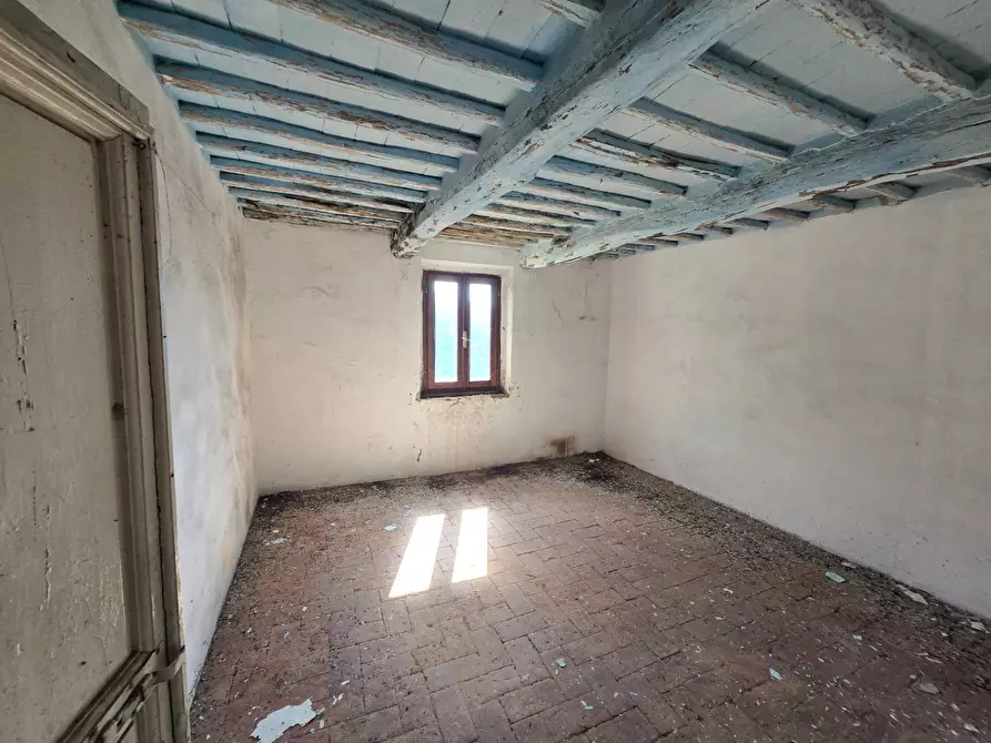 Immagine 15 di Rustico / casale in vendita  in Via santa lucia a Calci