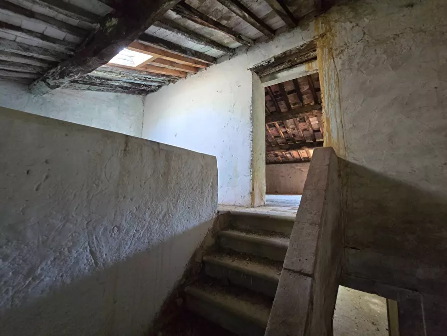 Immagine 16 di Rustico / casale in vendita  in Via santa lucia a Calci