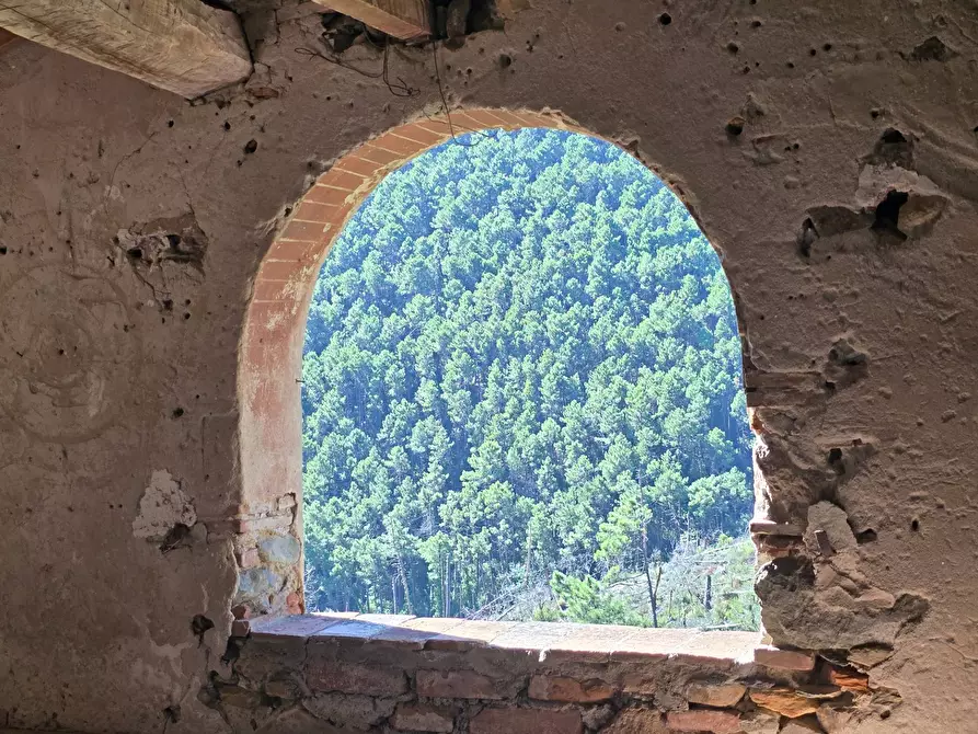 Immagine 7 di Rustico / casale in vendita  in Via santa lucia a Calci