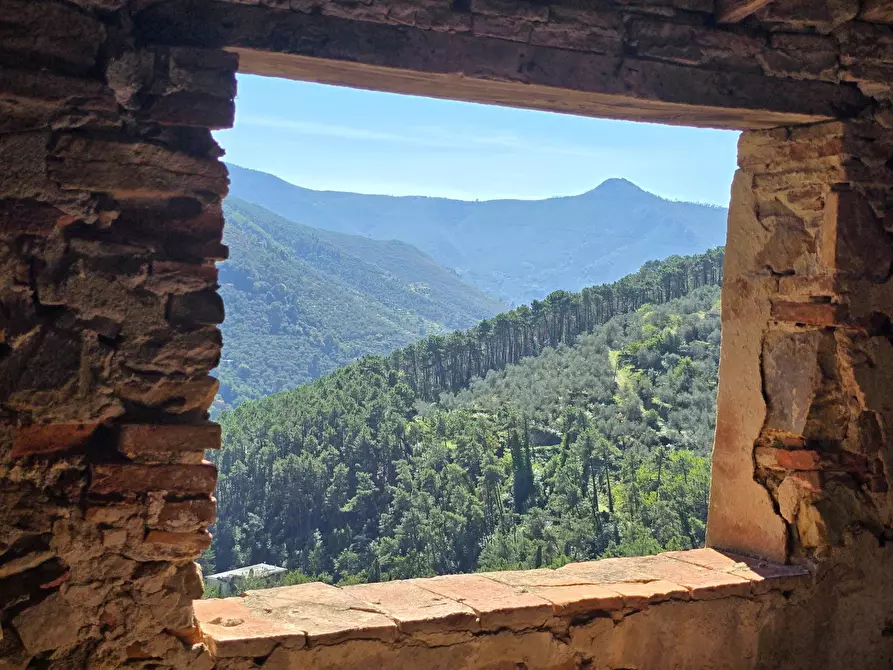 Immagine 6 di Rustico / casale in vendita  in Via santa lucia a Calci