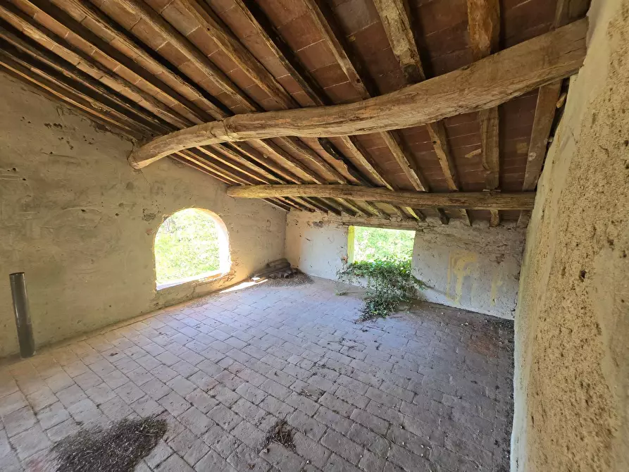 Immagine 5 di Rustico / casale in vendita  in Via santa lucia a Calci