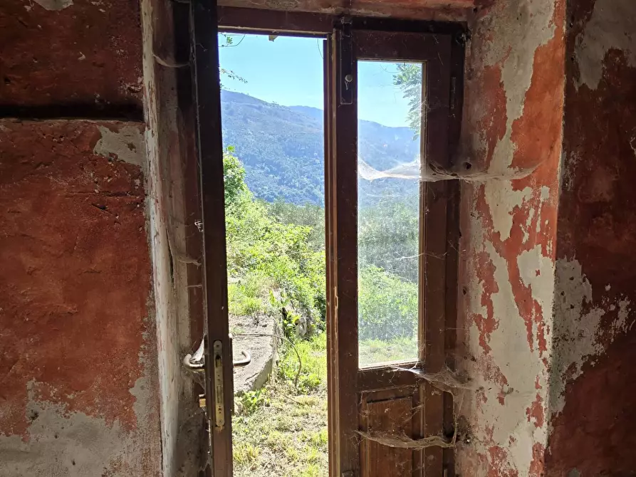 Immagine 3 di Rustico / casale in vendita  in Via santa lucia a Calci