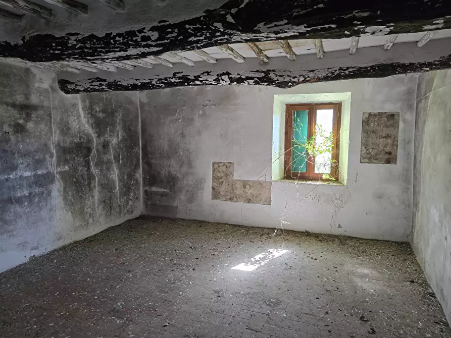 Immagine 18 di Rustico / casale in vendita  in Via santa lucia a Calci