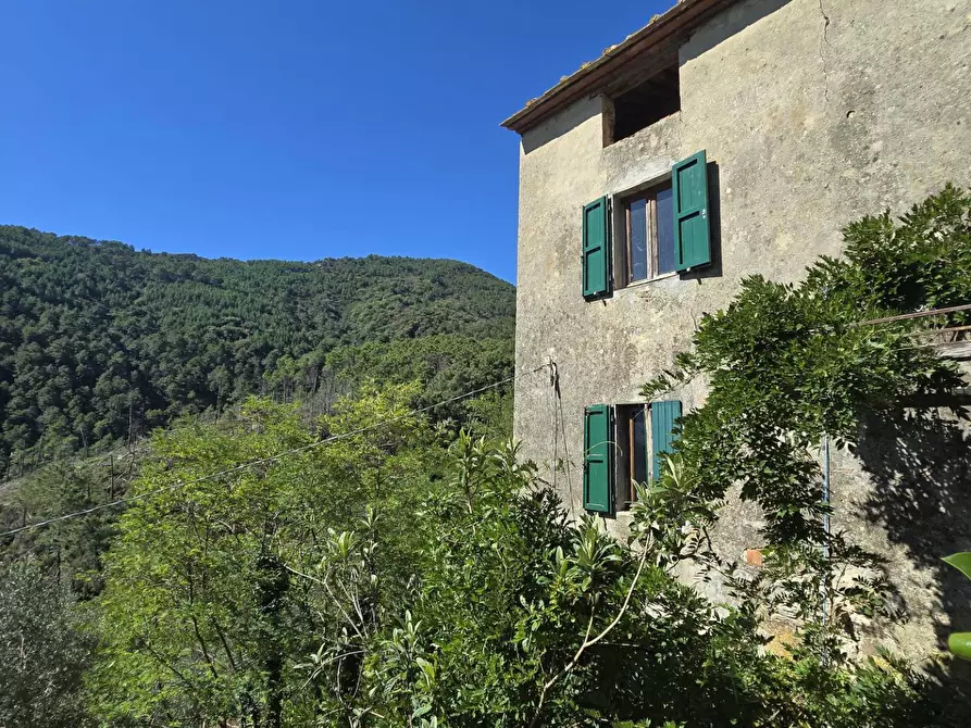 Immagine 2 di Rustico / casale in vendita  in Via santa lucia a Calci