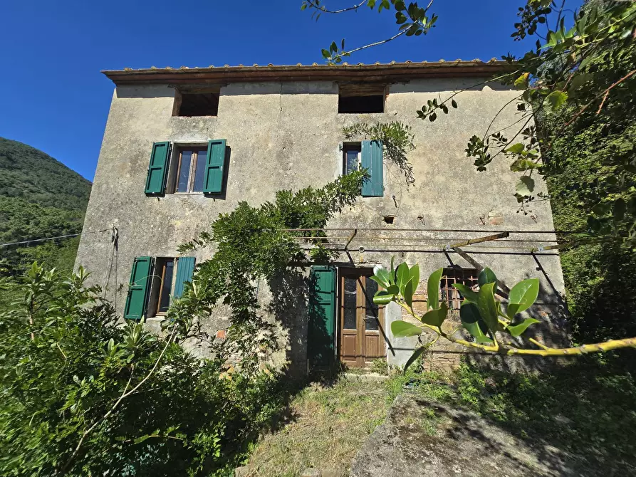 Immagine 1 di Rustico / casale in vendita  in Via santa lucia a Calci