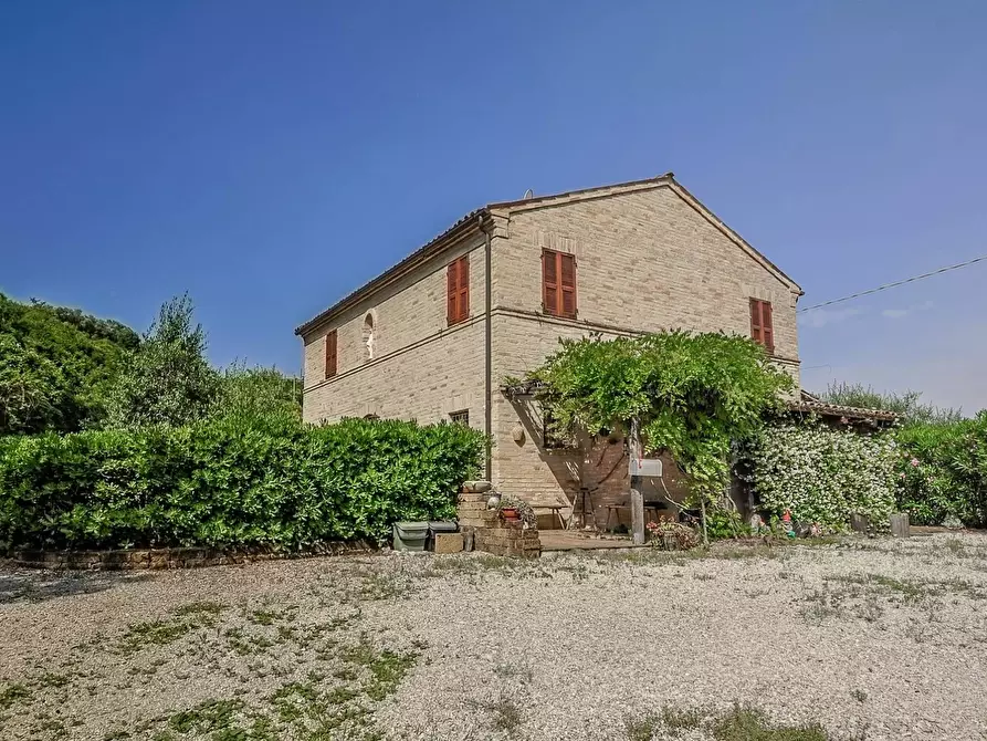Immagine 2 di Rustico / casale in vendita  in contrada cantagallo 2 a Altidona