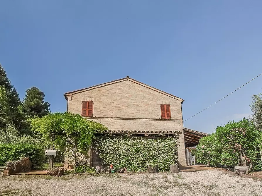 Immagine 3 di Rustico / casale in vendita  in contrada cantagallo 2 a Altidona