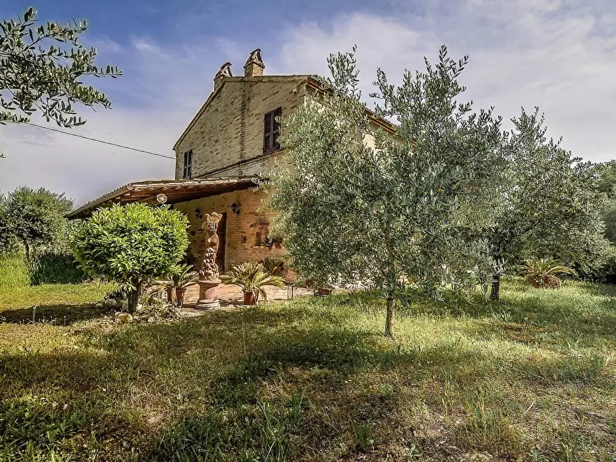 Immagine 8 di Rustico / casale in vendita  in contrada cantagallo 2 a Altidona