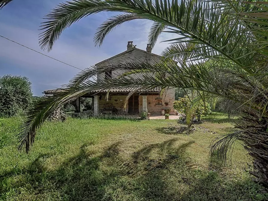 Immagine 9 di Rustico / casale in vendita  in contrada cantagallo 2 a Altidona