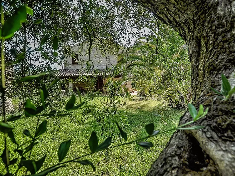 Immagine 10 di Rustico / casale in vendita  in contrada cantagallo 2 a Altidona