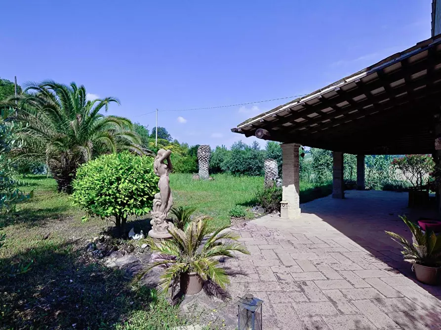 Immagine 13 di Rustico / casale in vendita  in contrada cantagallo 2 a Altidona