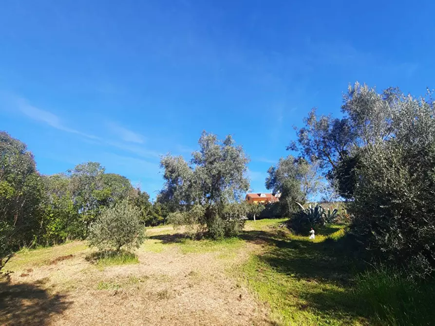 Immagine 2 di Terreno residenziale in vendita  in c.da Carbuccio snc a Altidona