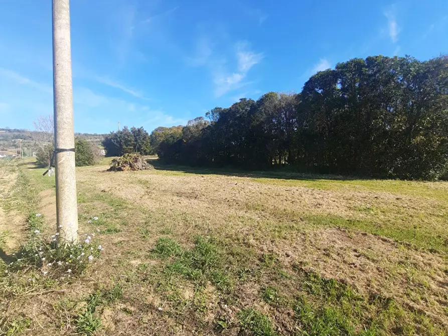 Immagine 3 di Terreno residenziale in vendita  in c.da Carbuccio snc a Altidona