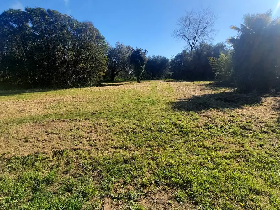 Immagine 4 di Terreno residenziale in vendita  in c.da Carbuccio snc a Altidona
