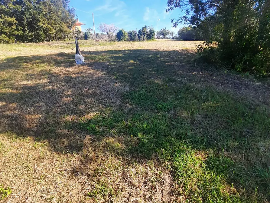 Immagine 5 di Terreno residenziale in vendita  in c.da Carbuccio snc a Altidona