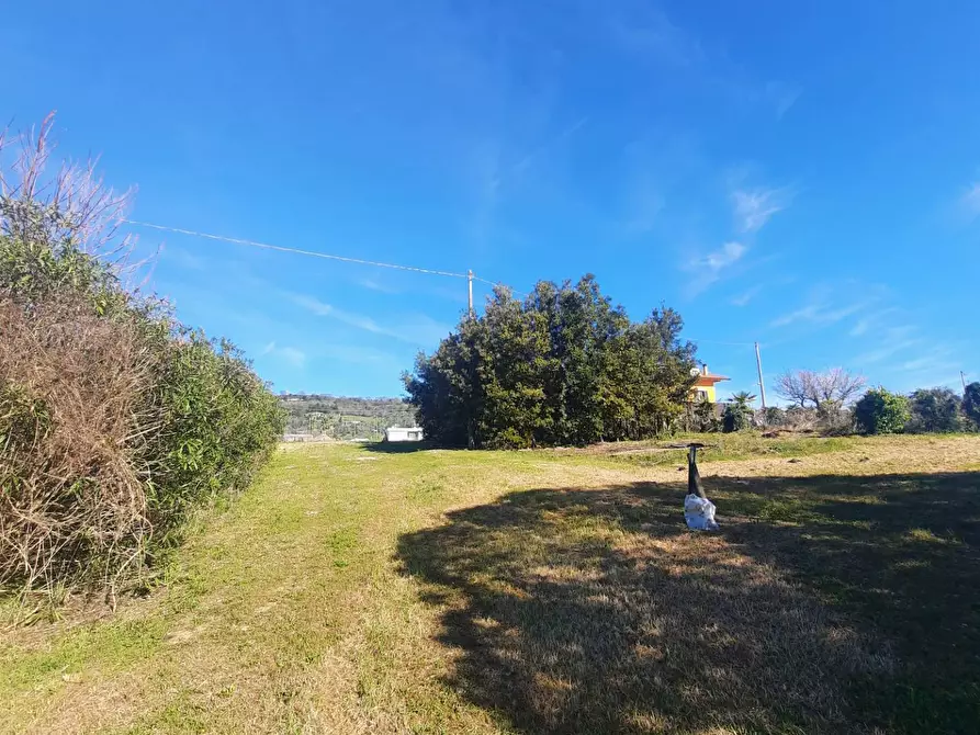 Immagine 6 di Terreno residenziale in vendita  in c.da Carbuccio snc a Altidona