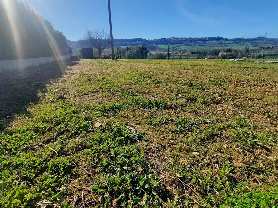 Immagine 9 di Terreno residenziale in vendita  in c.da Carbuccio snc a Altidona