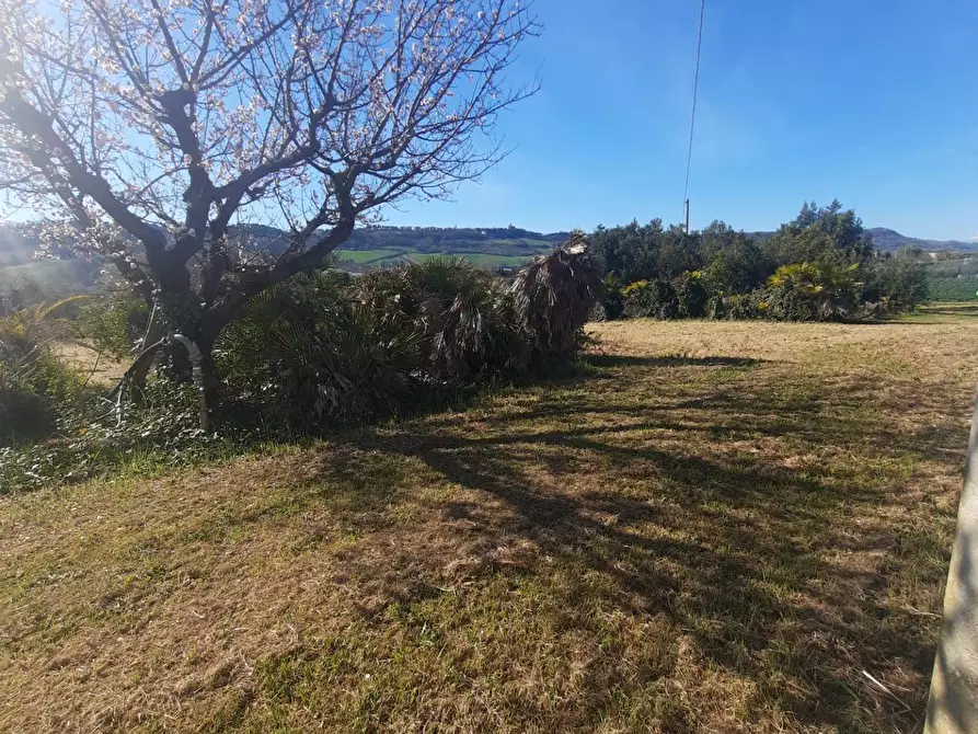Immagine 10 di Terreno residenziale in vendita  in c.da Carbuccio snc a Altidona