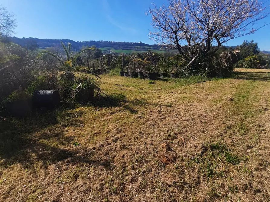 Immagine 11 di Terreno residenziale in vendita  in c.da Carbuccio snc a Altidona