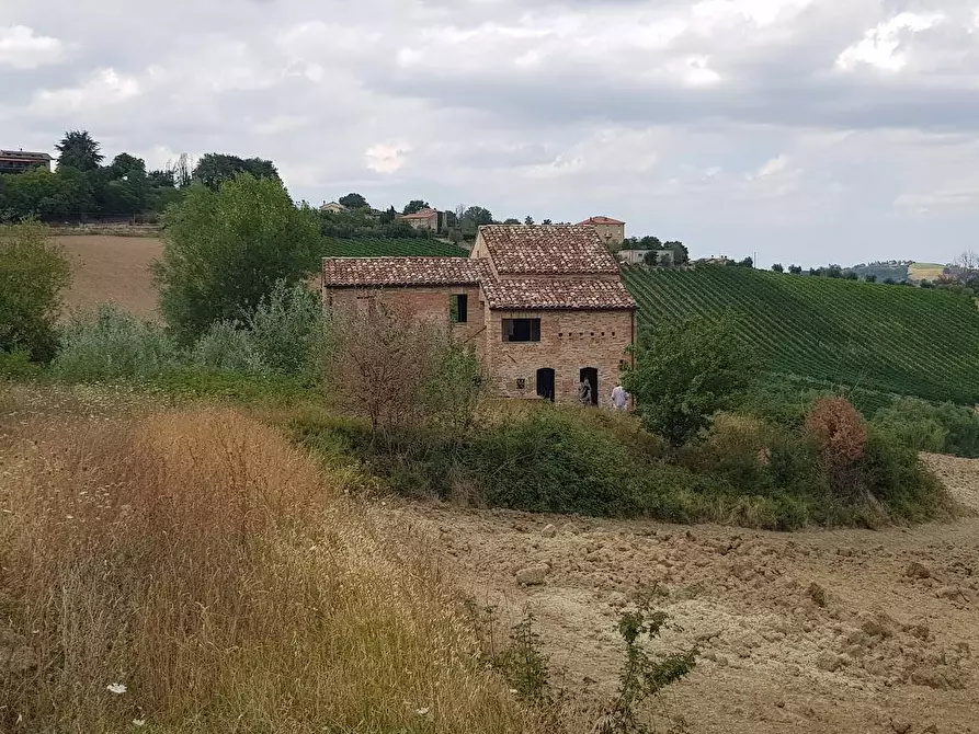 Immagine 12 di Rustico / casale in vendita  in via Case Rosse snc a Montedinove