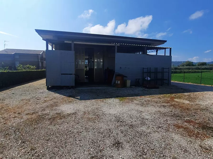 Immagine 2 di Laboratorio in vendita  in c.da Carbuccio snc a Altidona