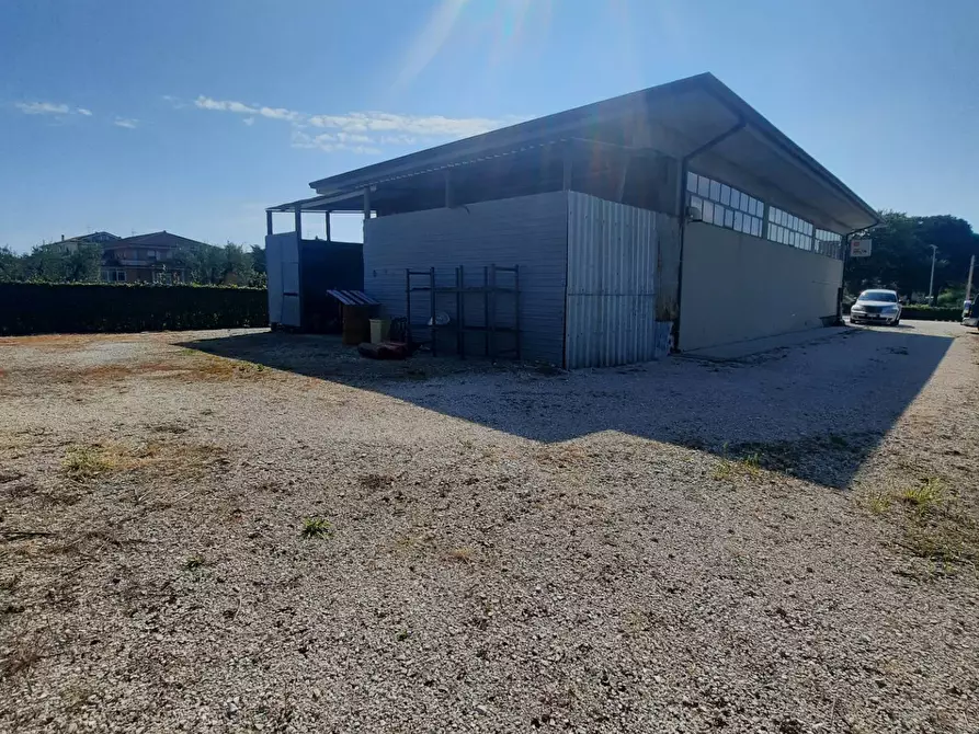 Immagine 3 di Laboratorio in vendita  in c.da Carbuccio snc a Altidona