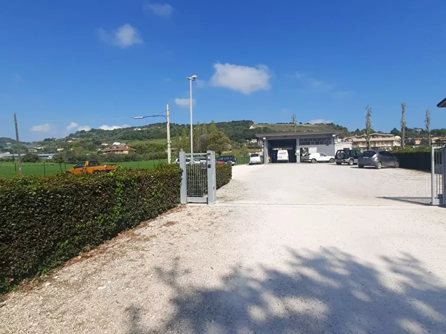 Immagine 4 di Laboratorio in vendita  in c.da Carbuccio snc a Altidona