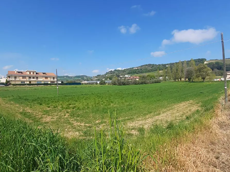 Immagine 6 di Laboratorio in vendita  in c.da Carbuccio snc a Altidona