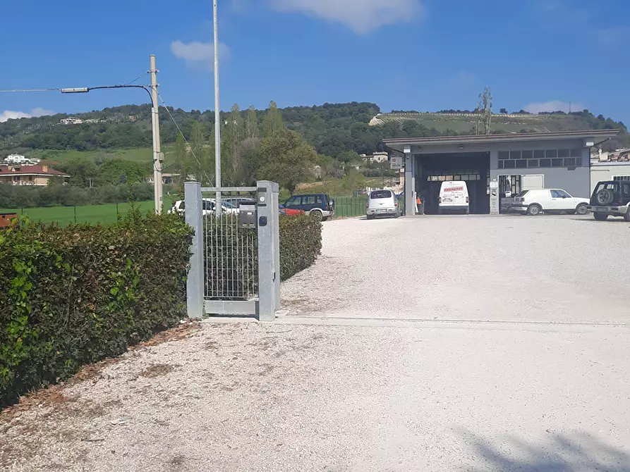 Immagine 7 di Laboratorio in vendita  in c.da Carbuccio snc a Altidona